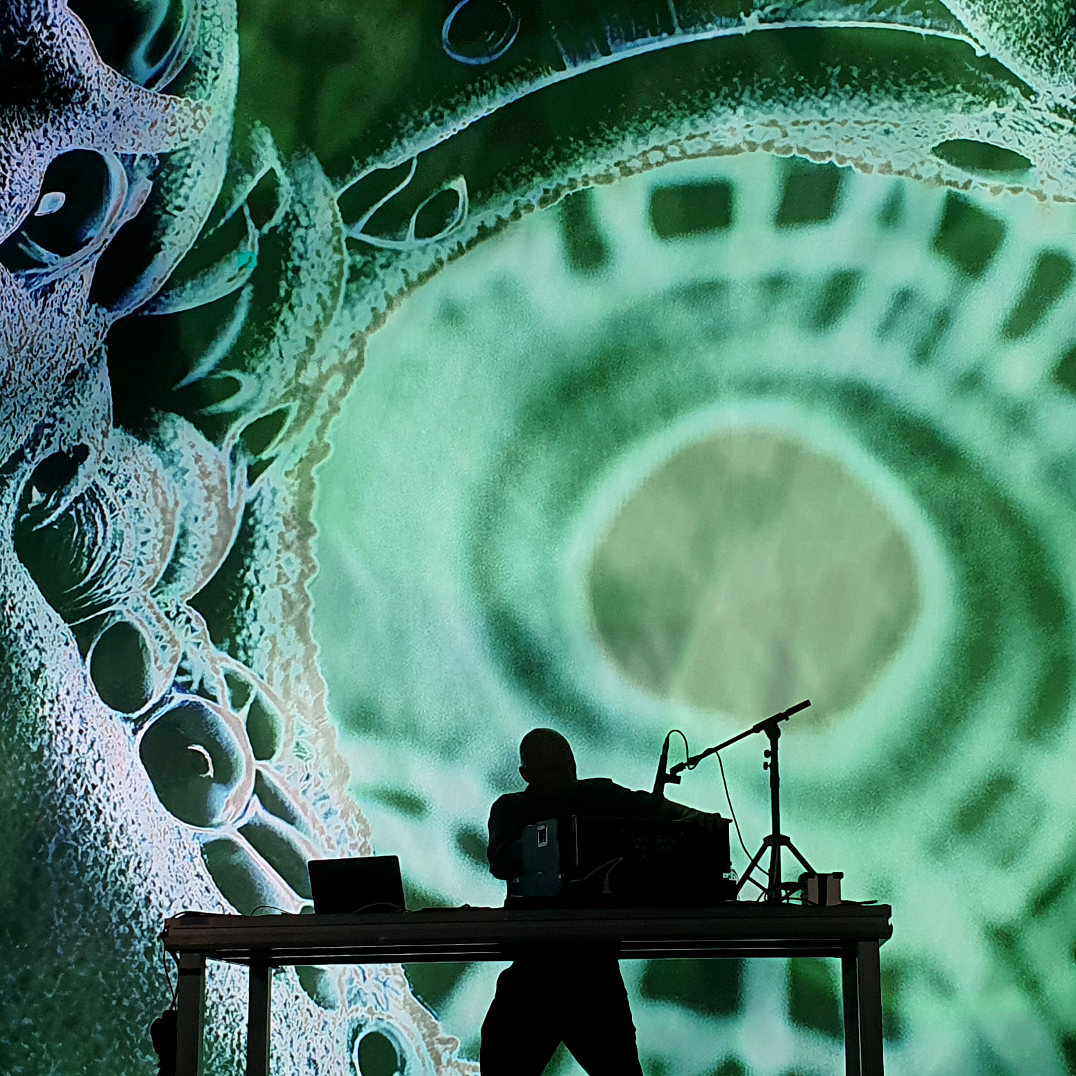 Filippo Gregoretti performing
